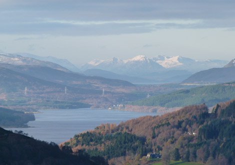 Ecological Clerk of Works