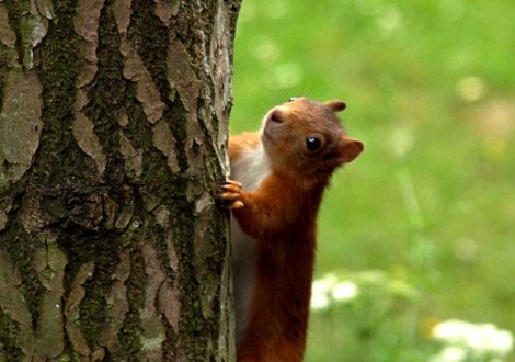 Training and Identification Courses